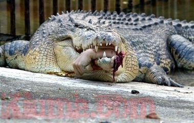 arm in mouth.jpg