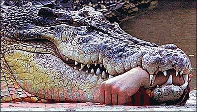 arm in mouth3.jpg
