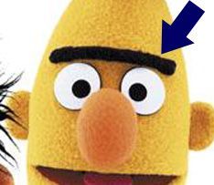 bert-unibrow.jpg