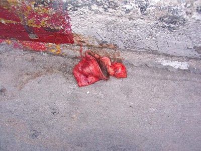 15a.jpg