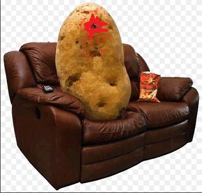Couch-Potato%20-%20Copy.jpg