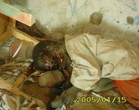 Darfur3cut-medium.jpg