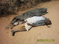 Darfur4cut-medium.jpg