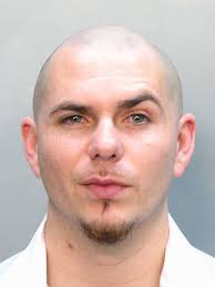 Pitbull.jpg