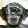 monkey%20smoking.gif