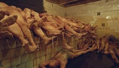 1human_parts_factory_01.jpg