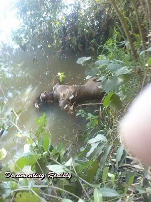 documentingreality.com-20-20girl-20found-20dead-204.jpg