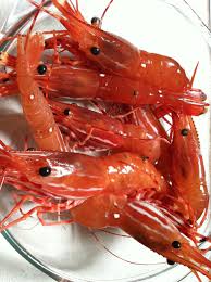 prawn.jpg