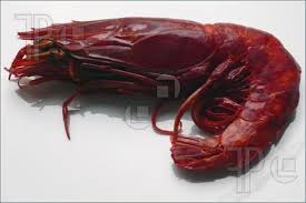 prawn2.jpg