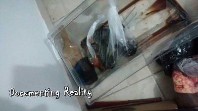 documentingreality.com-20-20psycho-20skinhead-203.jpg