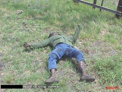 114_10_10_07_7_13_58_1.jpg