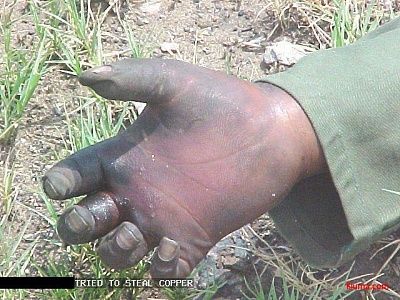 114_10_10_07_7_13_58_2.jpg