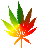 LEAFJAM.GIF
