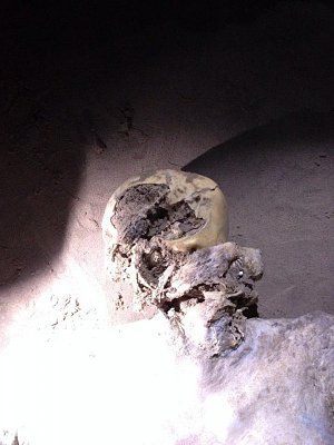 1414611894_10.jpg