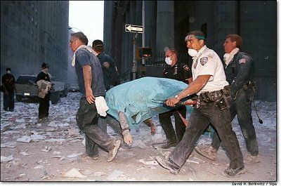 wtc7.jpg
