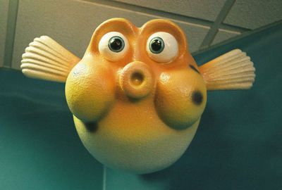 Blowfish.jpg
