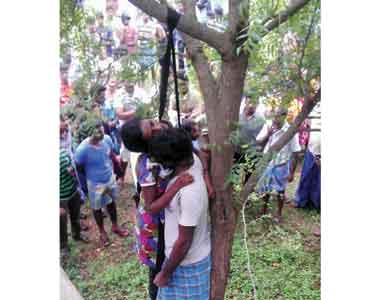 201511112258243114_Romantic-Couple-commits-suicide-by-hanging-in-tree_SECVPF.gif.jpg