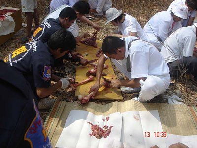 08.jpg