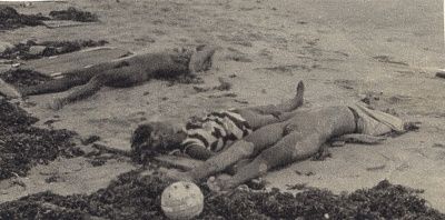 image2.jpg
