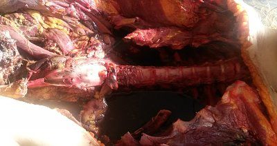 20160216_082839.jpg