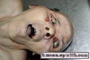 11b9f729592788.gif