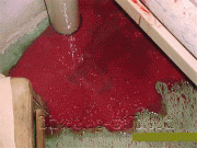 5af17f30004229.gif