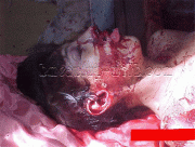 6943ef30004232.gif