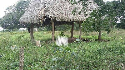img_2299.jpg