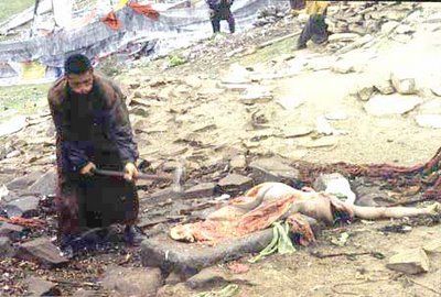 tibet6.jpg