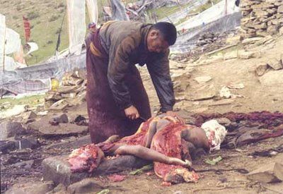 tibet7.jpg