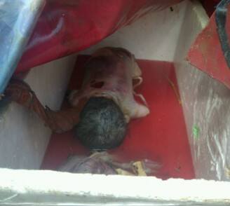 Name:  baby1.jpg
Views: 929
Size:  10.7 KB
