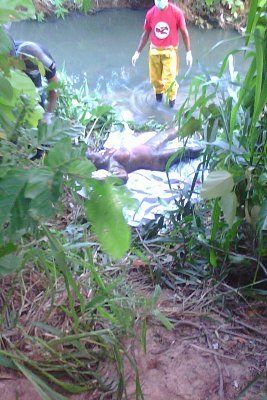 img-20160324-wa0050.jpg