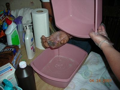 4240.jpg