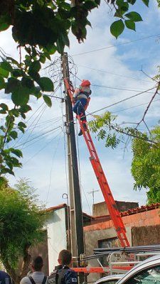 elec1.jpg