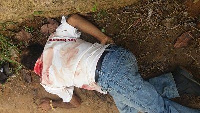 farmerstabbed1.jpg