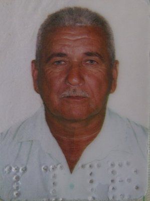 fiestabus1.jpg