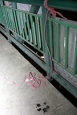 4019739.jpg