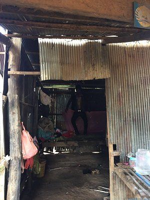 image-529.jpeg