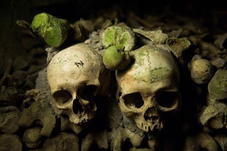 _news_2008_05_photogalleries_wip-week79_images_primary_1_SKULLS_461.jpg