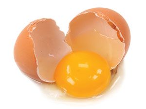 cracked%20egg.jpg