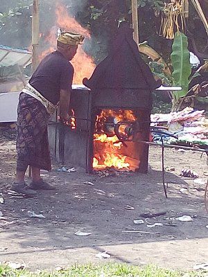 bali8.jpg