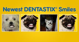 newest_smiles.jpg