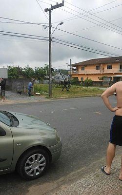 img_2969.jpg