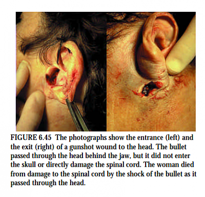 screenshot_2016-11-08-18-01-17-4.png