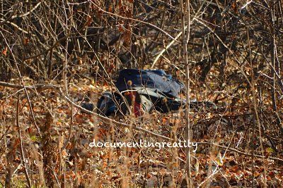 img_3716.jpg