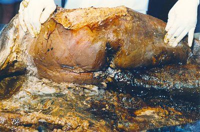 reed-20autopsy3-20backside.jpg