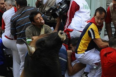 cc-bull-gore-2.jpg