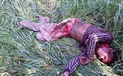 liveleak-dot-com-047_1486909520-six-people-maul-death-man-eat-tiger-pili_1486909926.jpg.resized.jpg