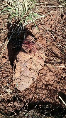 img-20140906-wa00292.jpg