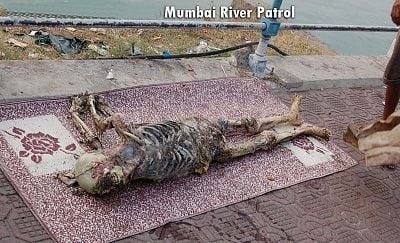 charonboat_dot_com_drowned_victim_india.jpg